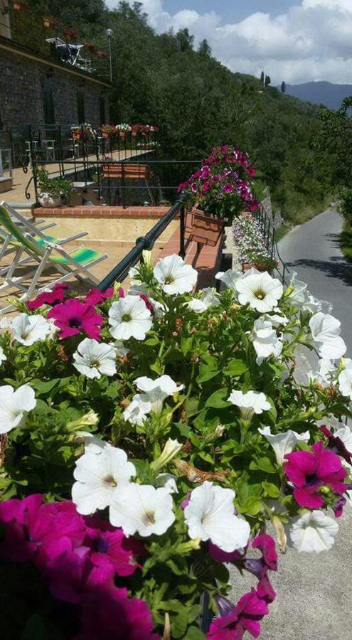 B&B Le Colline Di Bana Camogli Extérieur photo